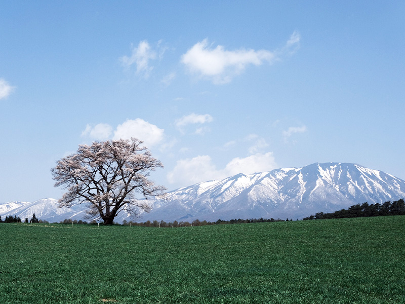 小岩井農場2時間コース